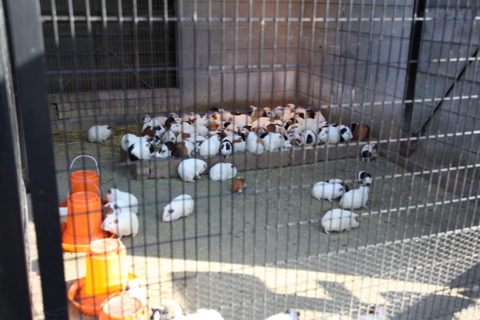 f:id:satox:20090315203213j:image f:id:satox:20090315203213j:image