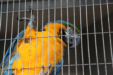 f:id:satox:20090315203215j:image f:id:satox:20090315203215j:image