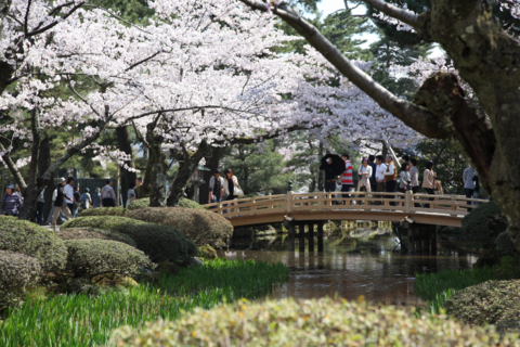 [金沢][兼六園]