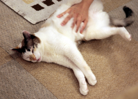 f:id:satox:20100313233803j:image f:id:satox:20100313233803j:image