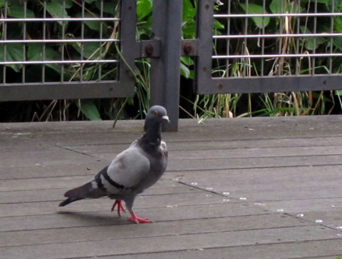 f:id:satox:20100704210014j:image f:id:satox:20100704210014j:image