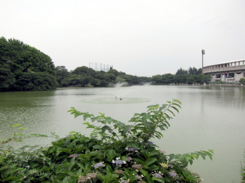 f:id:satox:20100704210015j:image f:id:satox:20100704210015j:image