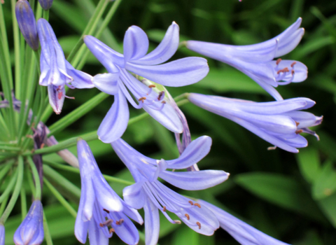 f:id:satox:20100704210016j:image f:id:satox:20100704210016j:image