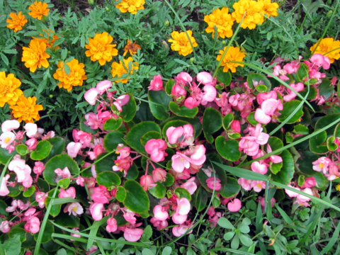f:id:satox:20100704210018j:image f:id:satox:20100704210018j:image