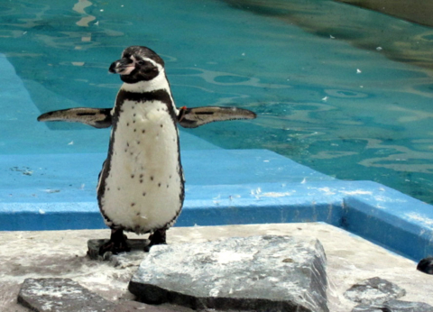 [夢見ヶ丘動物公園]