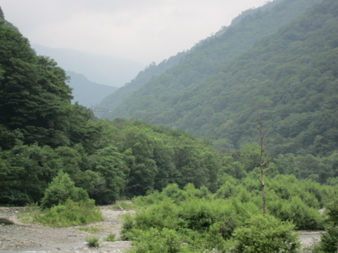 f:id:satox:20100808040509j:image f:id:satox:20100808040509j:image