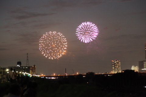 [花火][多摩川花火大会]