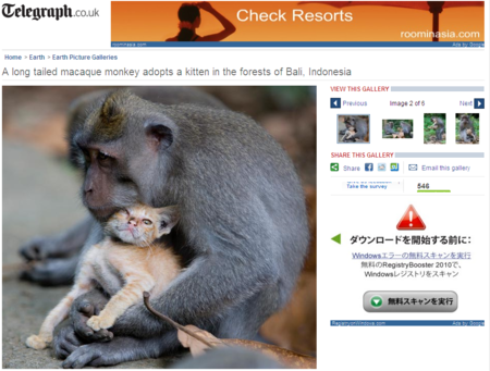 f:id:satox:20100905000411p:image f:id:satox:20100905000411p:image
