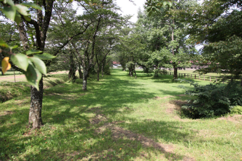 f:id:satox:20100920201947j:image f:id:satox:20100920201947j:image