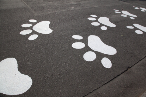 f:id:satox:20110131234224j:image f:id:satox:20110131234224j:image