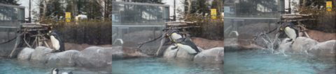 [東武動物公園][動物]