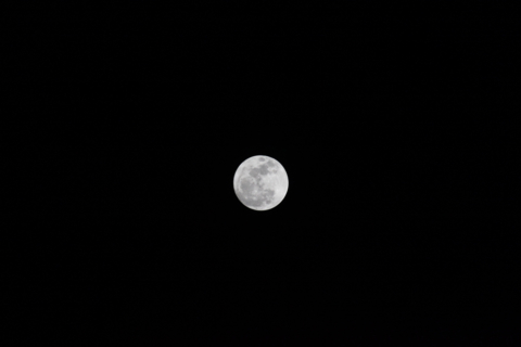f:id:satox:20110319203439j:image f:id:satox:20110319203439j:image