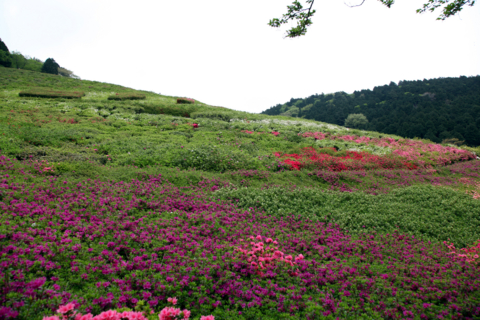 [熱海][姫の沢公園]