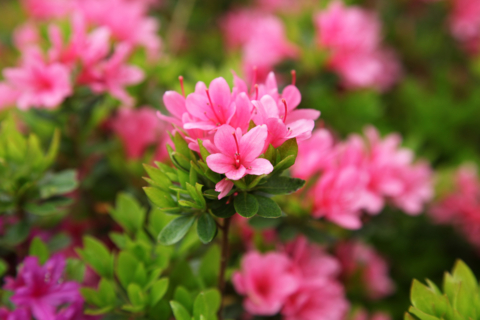 f:id:satox:20110506125748j:image f:id:satox:20110506125748j:image