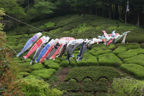 f:id:satox:20110506125751j:image f:id:satox:20110506125751j:image