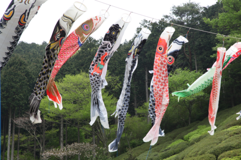 f:id:satox:20110506125752j:image f:id:satox:20110506125752j:image