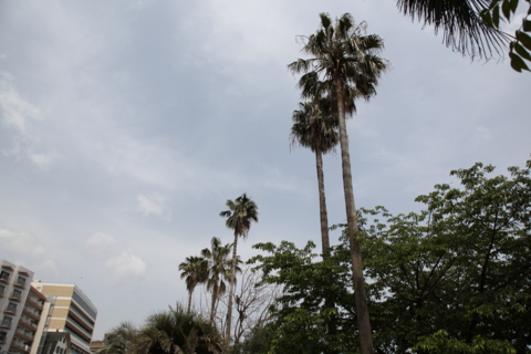 f:id:satox:20110506131205j:image f:id:satox:20110506131205j:image