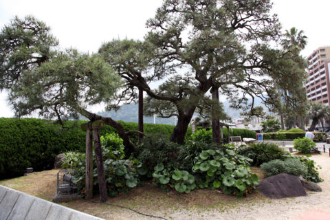 f:id:satox:20110506131206j:image f:id:satox:20110506131206j:image
