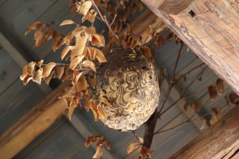 f:id:satox:20110924224819j:image f:id:satox:20110924224819j:image