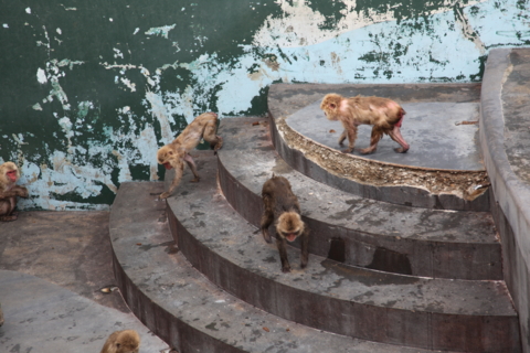 f:id:satox:20120429190353j:image f:id:satox:20120429190353j:image