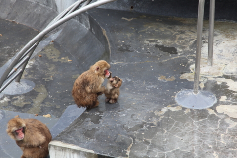 f:id:satox:20120429190354j:image f:id:satox:20120429190354j:image