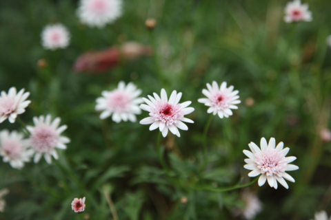 f:id:satox:20120429190356j:image f:id:satox:20120429190356j:image