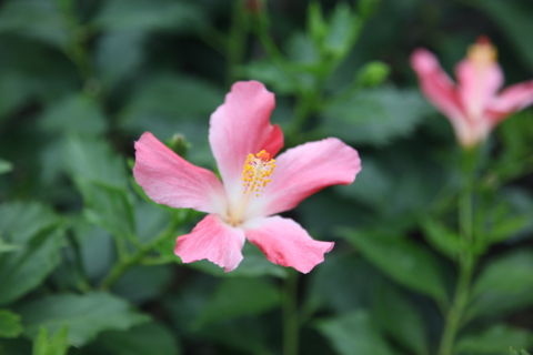 f:id:satox:20120429190357j:image f:id:satox:20120429190357j:image