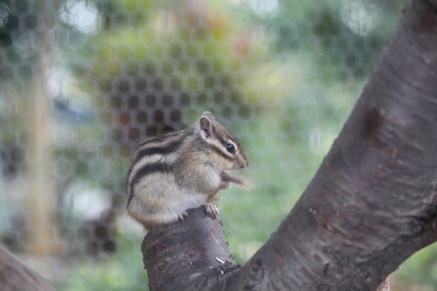 f:id:satox:20120429190359j:image f:id:satox:20120429190359j:image