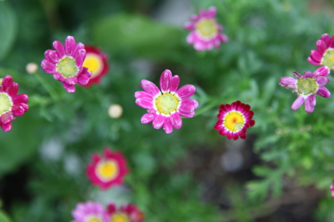 f:id:satox:20120429190402j:image f:id:satox:20120429190402j:image