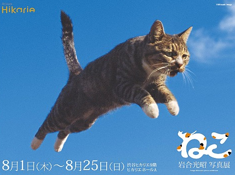 f:id:satox:20130820001826p:image f:id:satox:20130820001826p:image