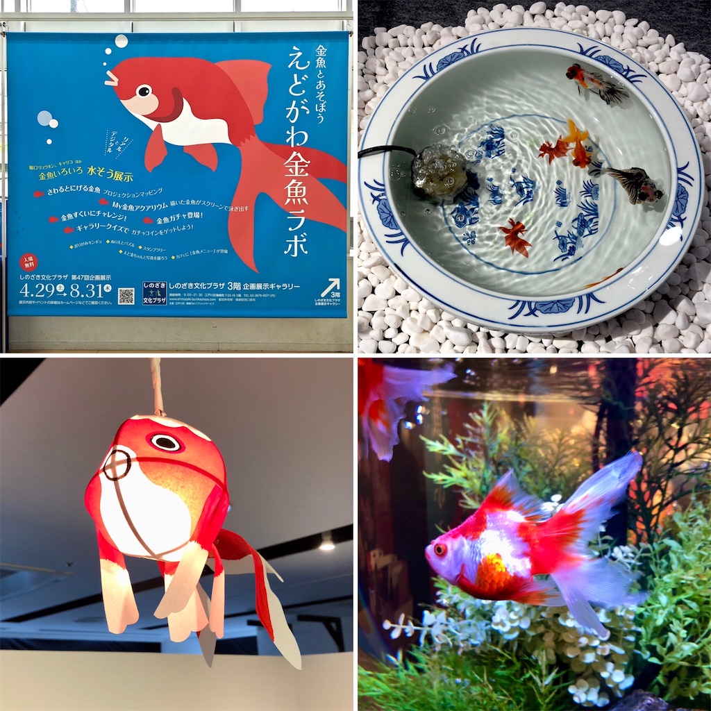 ⭐︎金魚さん専用⭐︎ 金魚ちょうちんライトマスコット NEW COLOR Ver. （30個入り）※電池