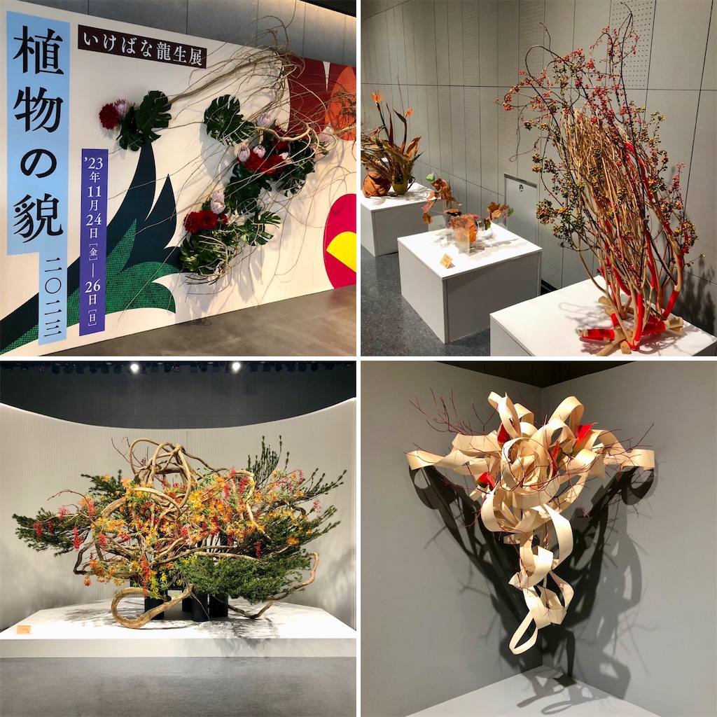 いけばな龍生派 植物の貌2023 - 山田サトのブログ