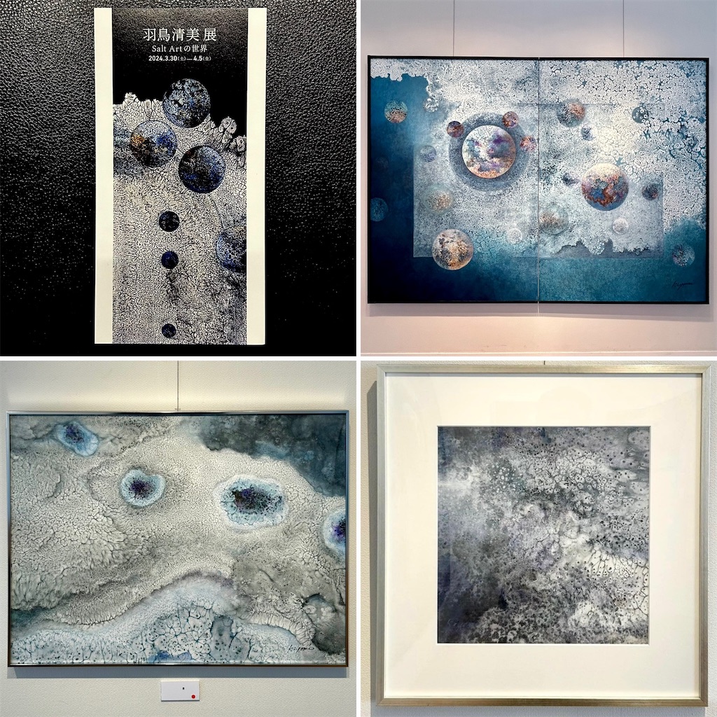 羽鳥清美展 ーSalt Artの世界ー - 山田サトのブログ