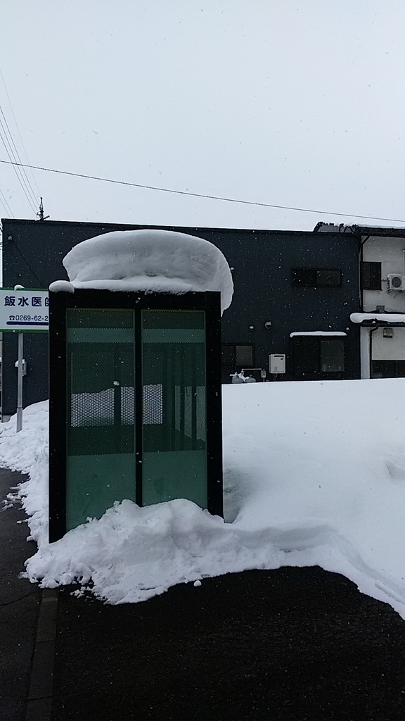 f:id:satoyamanekokun:20190217140520j:plain