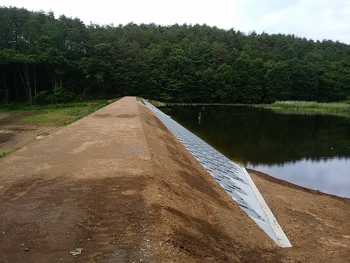 f:id:satoyamanekokun:20210430075035j:plain