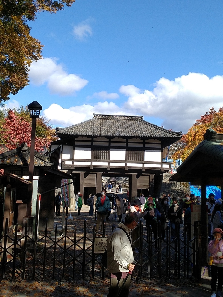 f:id:satoyamanekokun:20211108110351j:plain