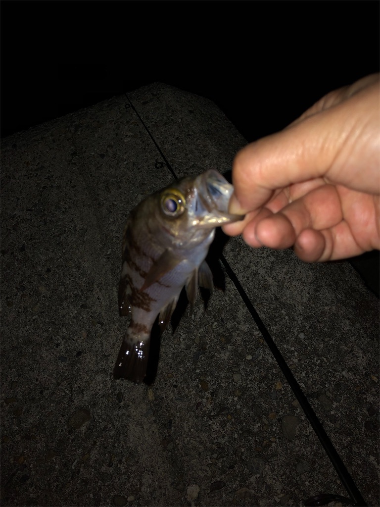 f:id:satoyan0002:20190506225508j:image f:id:satoyan0002:20190506225508j:image