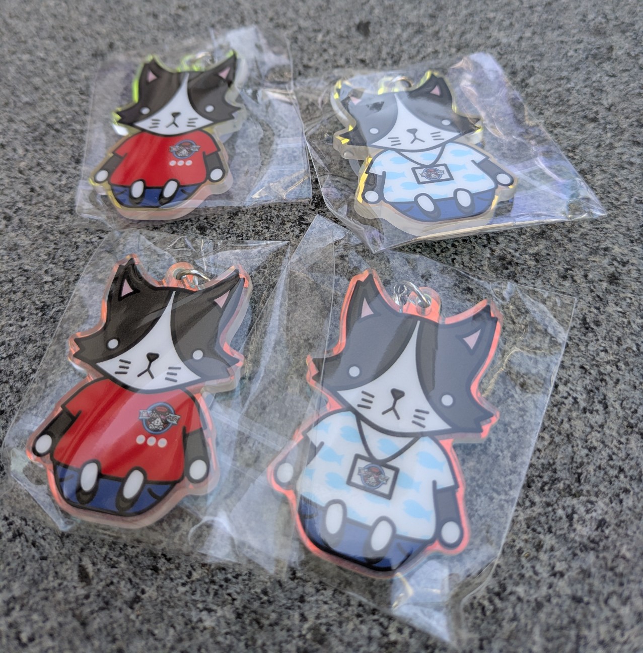 f:id:satoyoco:20260317011607j:image