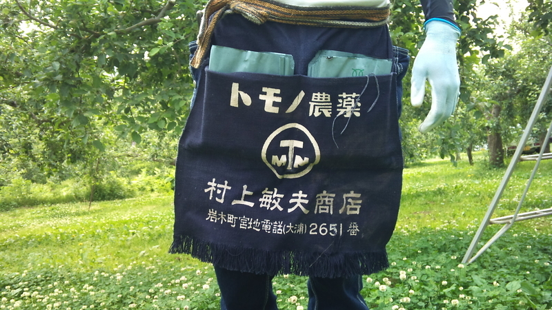 イメージ 2