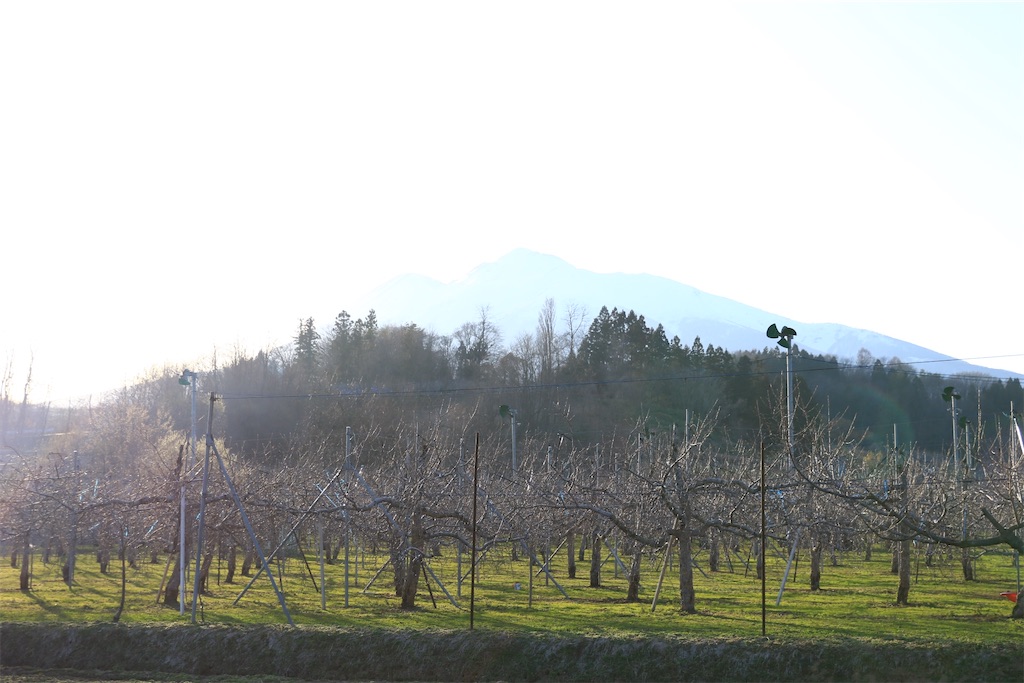 f:id:satoyu323:20210405173434j:image