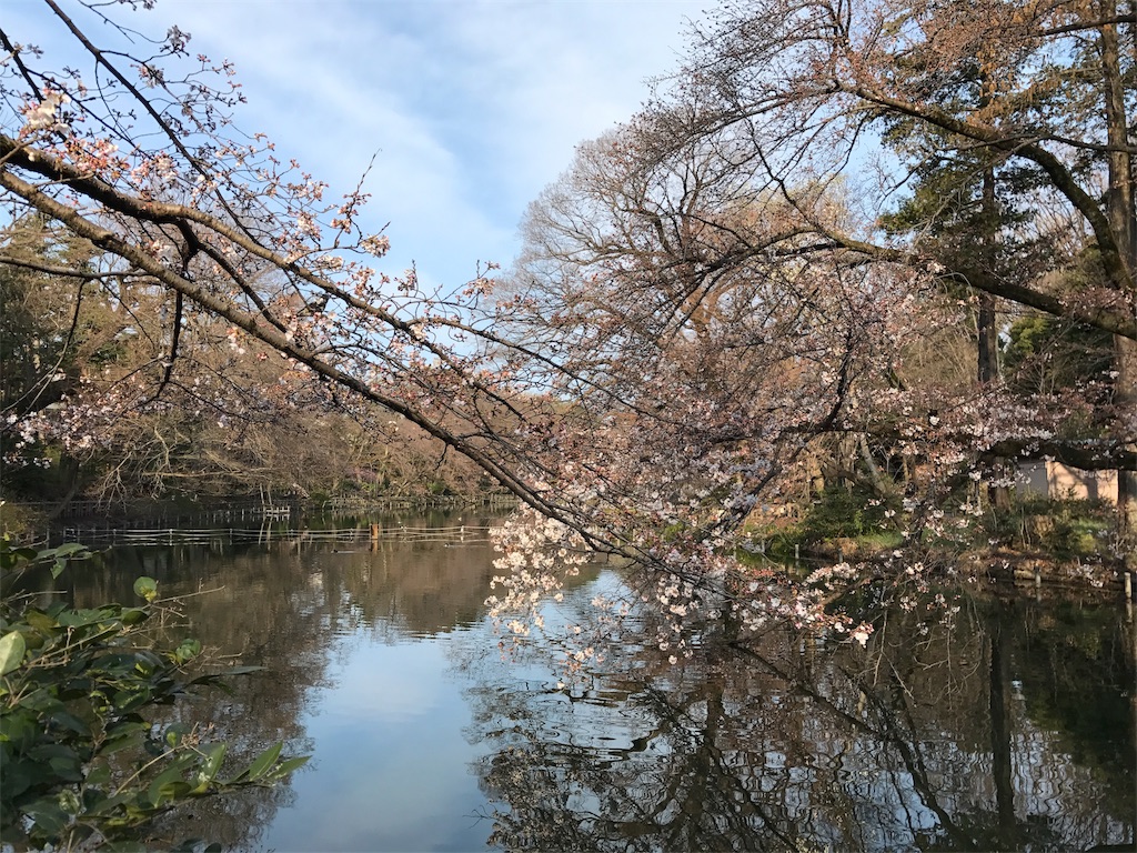 f:id:satsuka1:20170328090156j:image f:id:satsuka1:20170328090156j:image