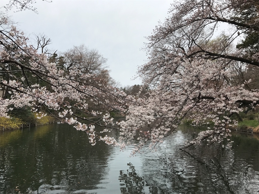 f:id:satsuka1:20170331090001j:image f:id:satsuka1:20170331090001j:image