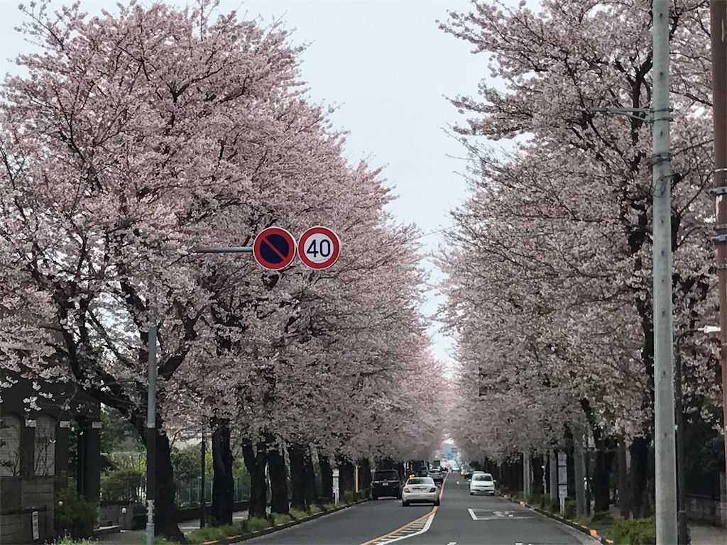 f:id:satsuka1:20170408161614j:image f:id:satsuka1:20170408161614j:image