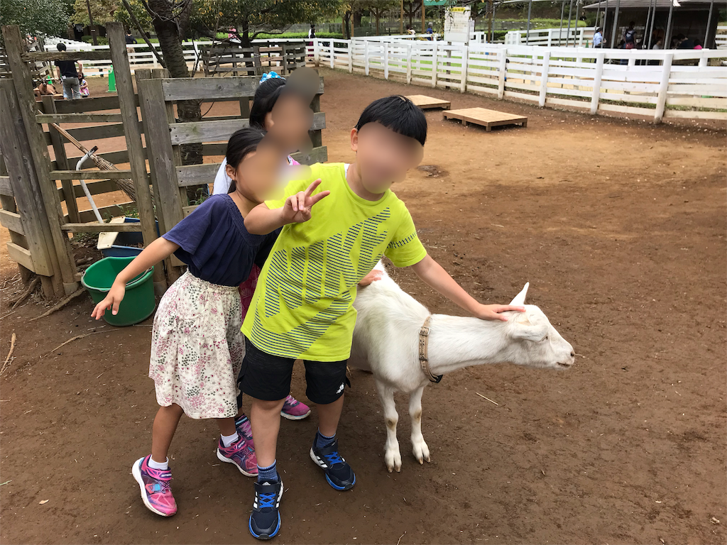 f:id:satsuka1:20190922172531p:image f:id:satsuka1:20190922172531p:image