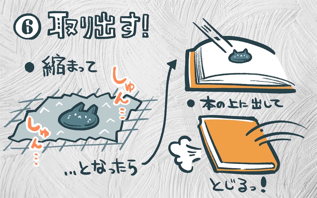 f:id:satsukimachi:20220803155708j:image f:id:satsukimachi:20220803155708j:image