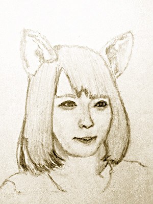 f:id:satsumaim0:20181202212919j:plain