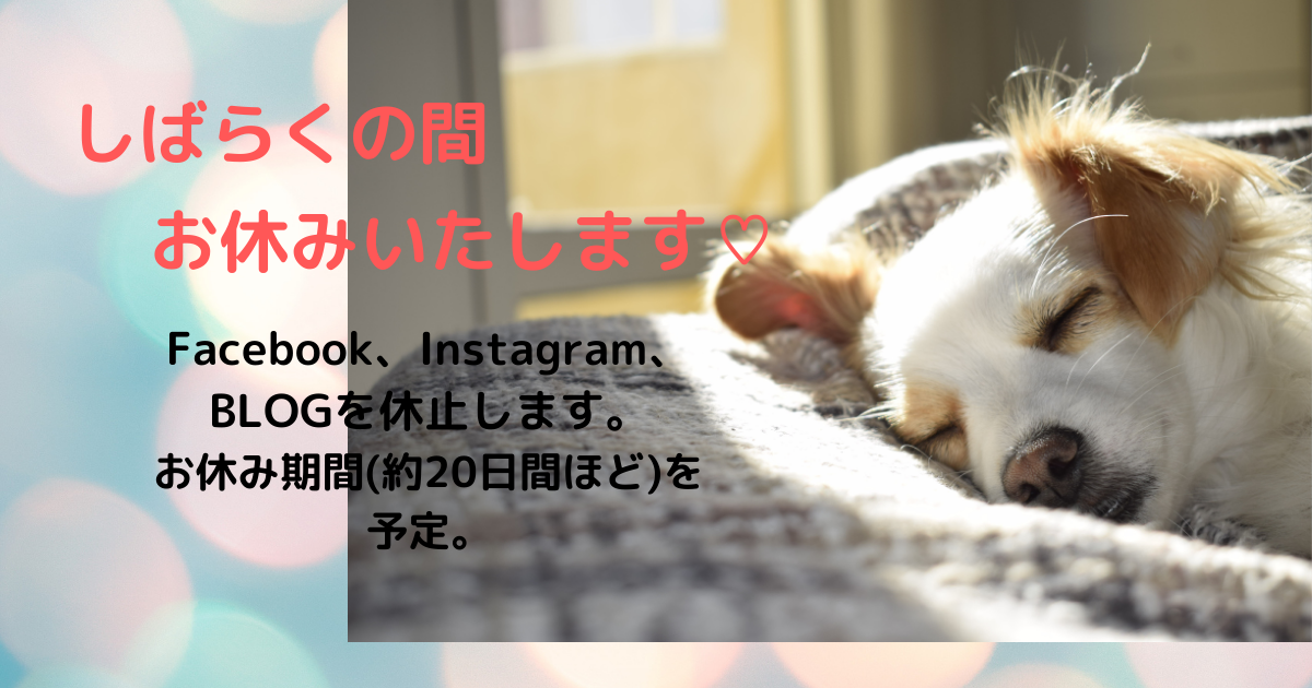 f:id:satsumakun:20210520004502p:plain