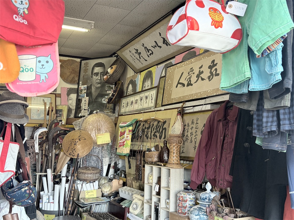 f:id:satsumanekonosuke:20260116150221j:image f:id:satsumanekonosuke:20260116150221j:image