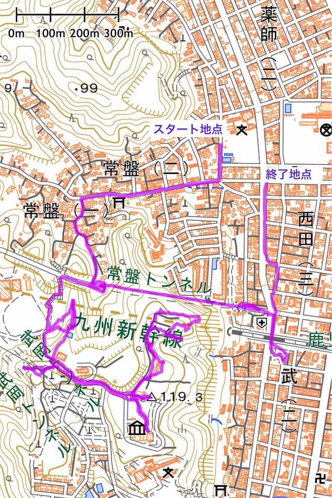 f:id:satsumanekonosuke:20260315123454j:image