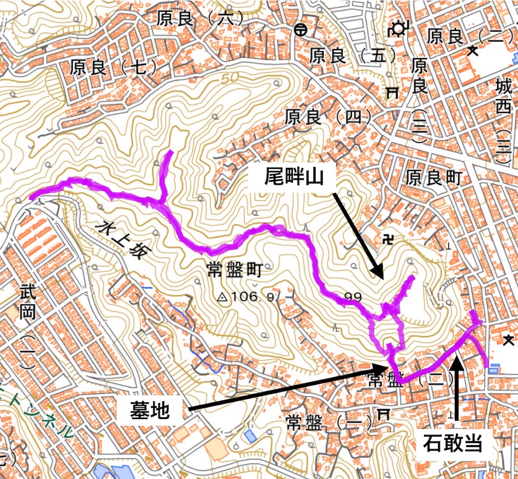 f:id:satsumanekonosuke:20260320154632j:image